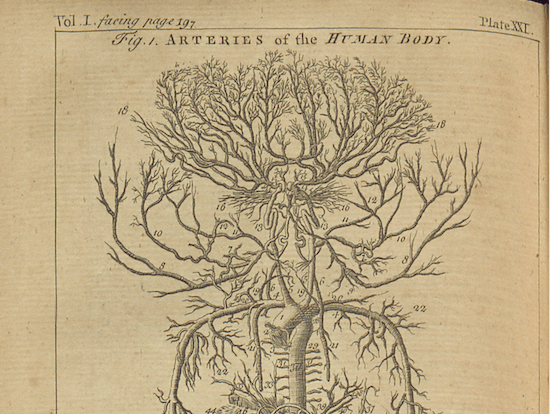 Miradas al mundo natural: estampa&nbsp;científica